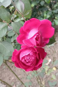 filter: 0; fileterIntensity: 0.0; filterMask: 0; captureOrientation: 90;
brp_mask:0;
brp_del_th:null;
brp_del_sen:null;
delta:null;
module: portrait;hw-remosaic: false;touch: (-1.0, -1.0);sceneMode: 8;cct_value: 0;AI_Scene: (-1, -1);aec_lux: 0.0;aec_lux_index: 0;albedo:  ;confidence:  ;motionLevel: -1;weatherinfo: null;temperature: 30;